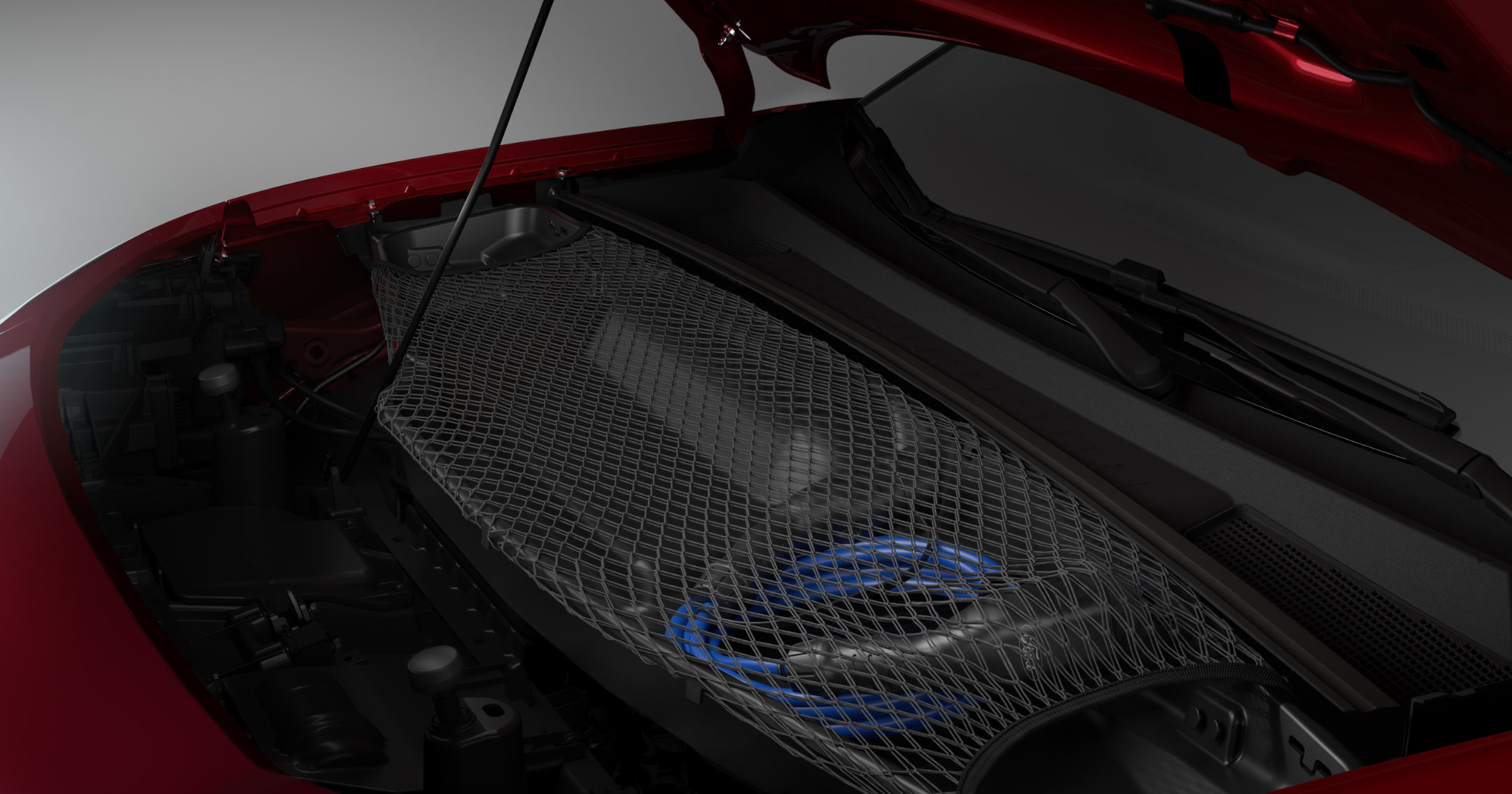 Frunk organizer